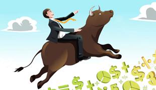 Take the Bull by its Horns - Miki Forex 